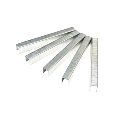 Agrafe T50 - 6MM